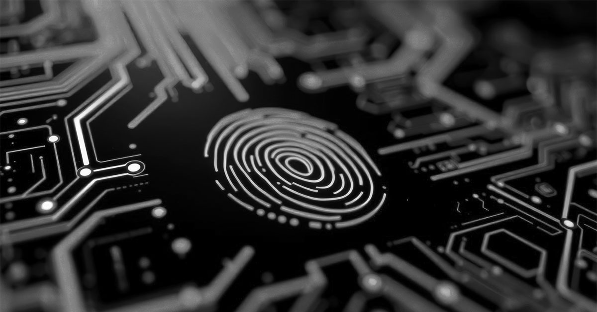 What Is Carrier Identity Verification in Freight Brokerage?